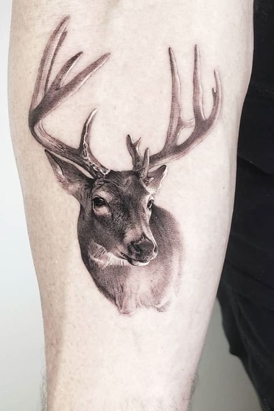 deer tattoo 4