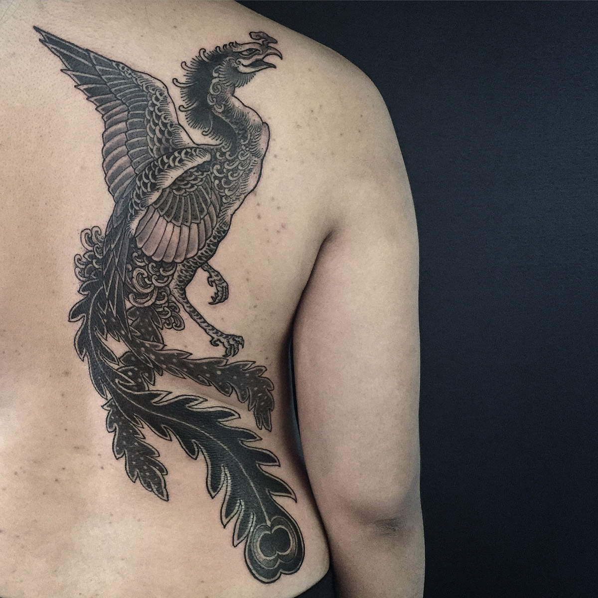 Japanese Phoenix Tattoo Rising from the Ashes — free download