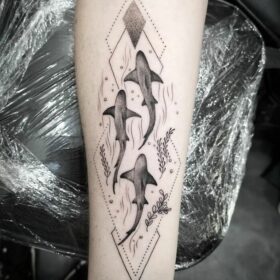 shark tattoo