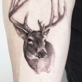 deer tattoo 4
